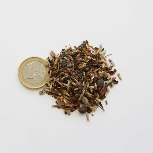 TURF bee and butterfly meadow seed