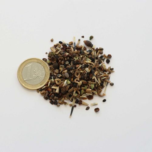 TURF Country Garden Seeds